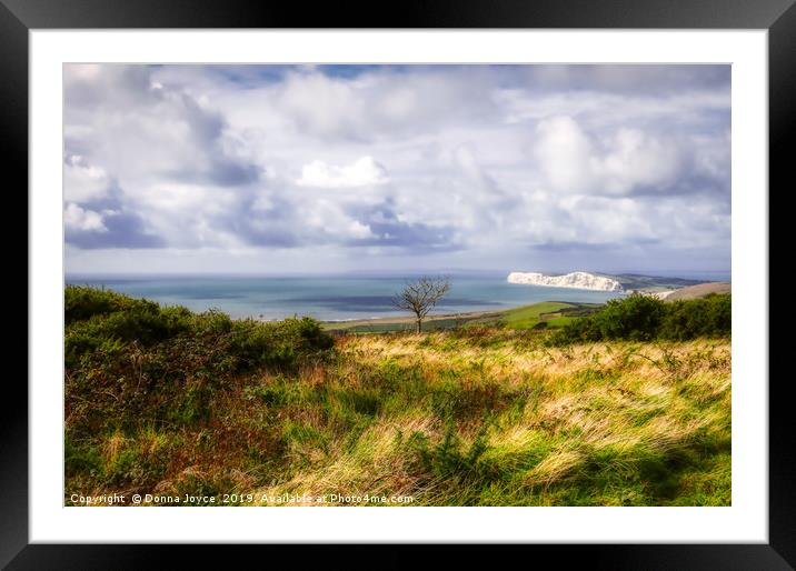 View across the Isle of Wight Framed Mounted Print by Donna Joyce