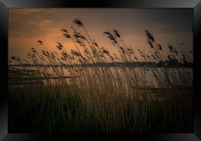 Chichester Harbour Sunset Framed Print by Steve Thomson