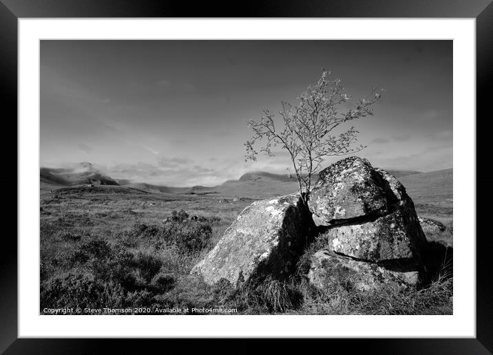 Lonely Tree at Glencoe Framed Mounted Print by Steve Thomson