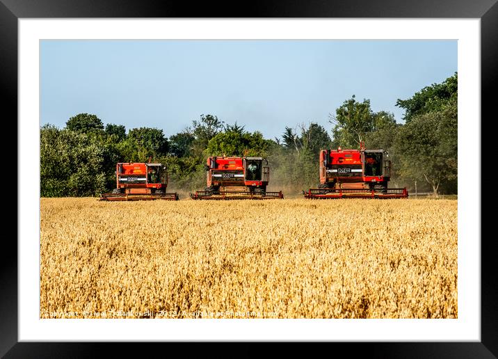 3 Inline Combine Harvesters Framed Mounted Print by Neal Trafankowski