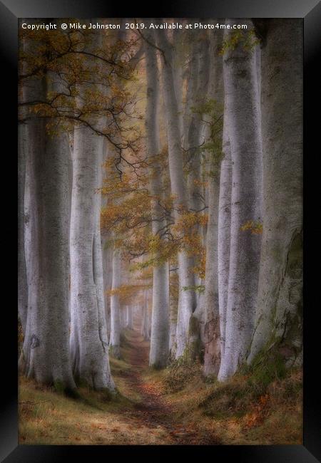 Beech tree lined path on a misty autumn morning Framed Print by Mike Johnston