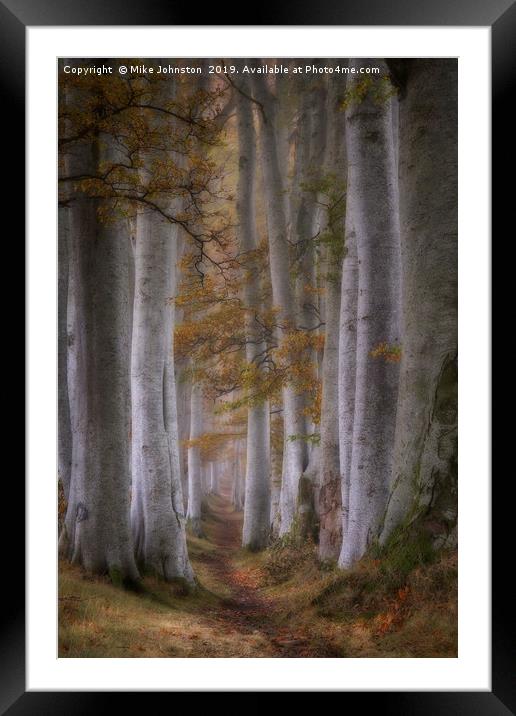 Beech tree lined path on a misty autumn morning Framed Mounted Print by Mike Johnston