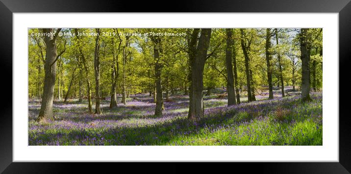 Kinclaven bluebell wood panorama Framed Mounted Print by Mike Johnston