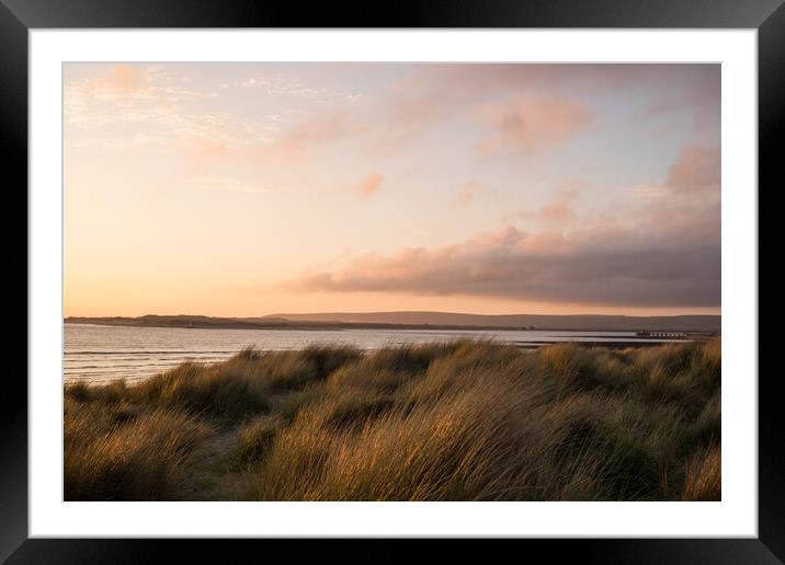 Sunlit marram grass on the Instow sand dunes Framed Mounted Print by Tony Twyman