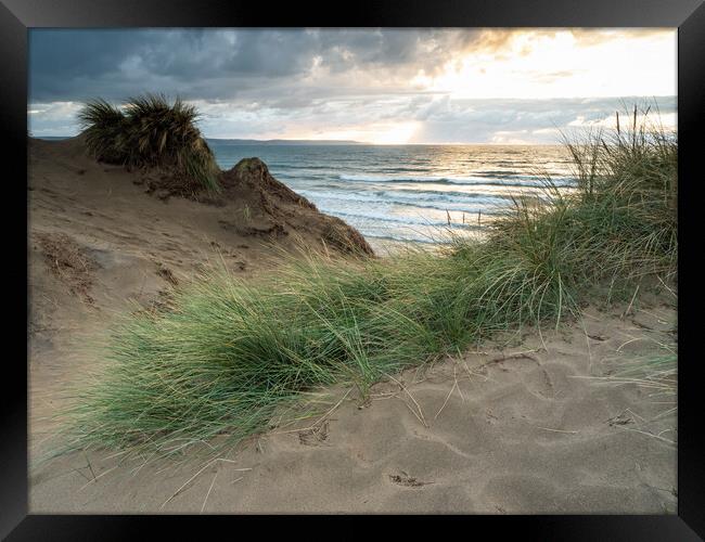 North Devon sand dunes Framed Print by Tony Twyman