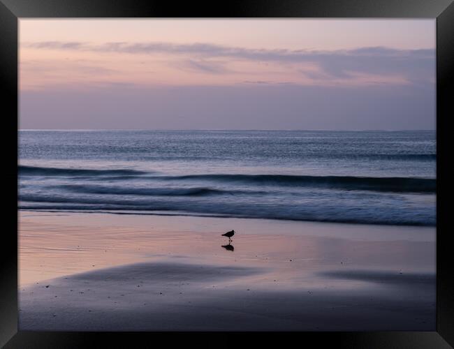 Sunrise on the Algarve coast Framed Print by Tony Twyman