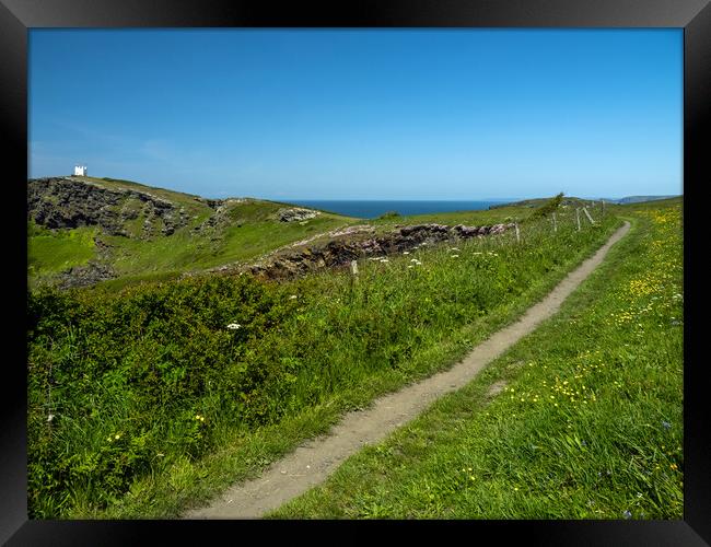 Coast path at Boscastle Framed Print by Tony Twyman