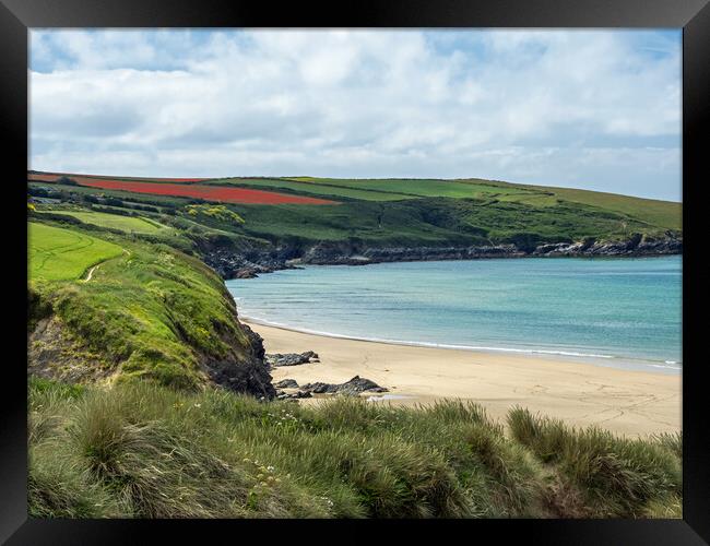 Crantock Beach and West Pentire Framed Print by Tony Twyman