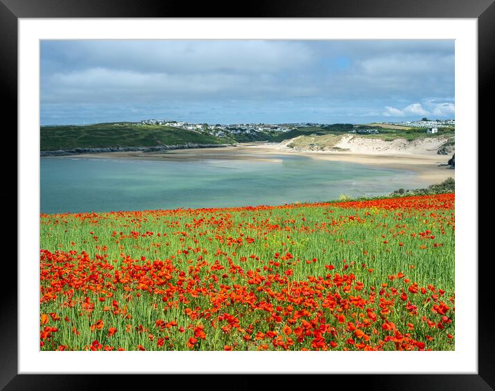 Vibrant Coastal Wildflower Oasis Framed Mounted Print by Tony Twyman