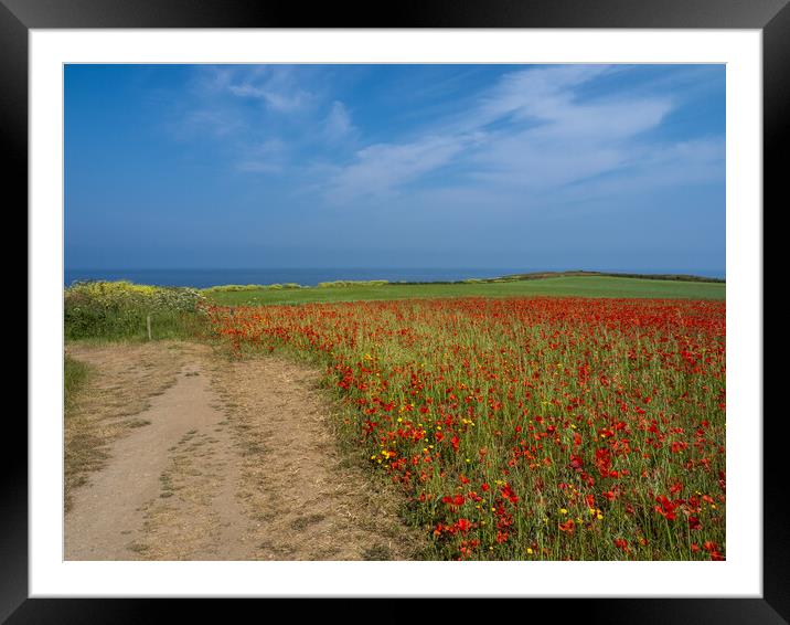 Cornish summer meadow Framed Mounted Print by Tony Twyman