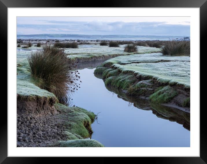Northam Burrows Nature Reserve Framed Mounted Print by Tony Twyman