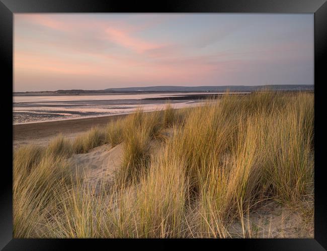 Dune grass on the sandy beach of Instow at Sunset Framed Print by Tony Twyman