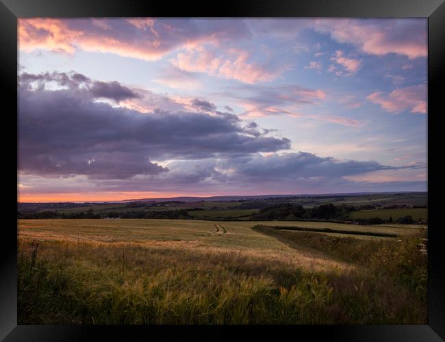 Farmers field in Bideford at Sunset in North Devon Framed Print by Tony Twyman