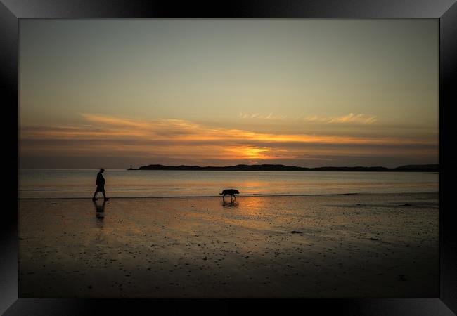 sunset dog walker Framed Print by Tony Twyman