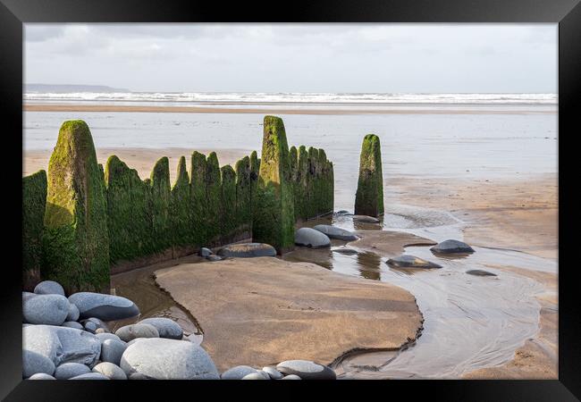 Weathered beach groynes Framed Print by Tony Twyman