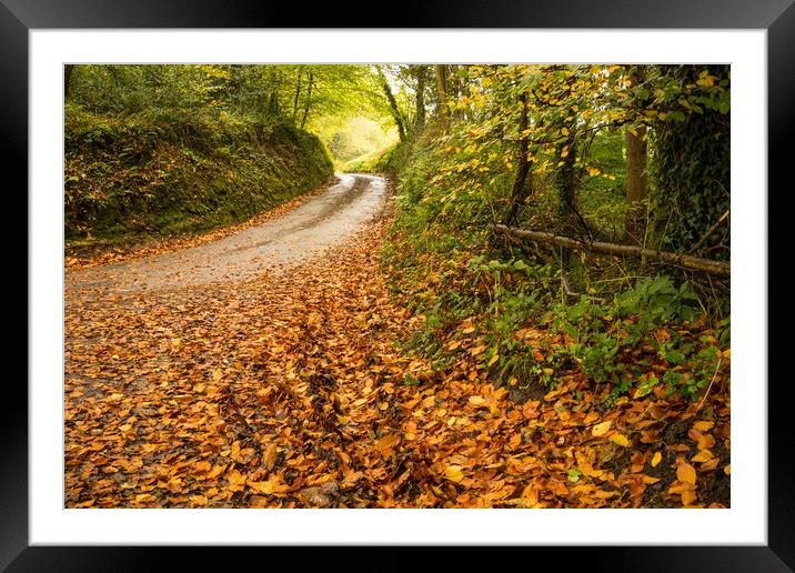 Autumnal Devon country lane Framed Mounted Print by Tony Twyman