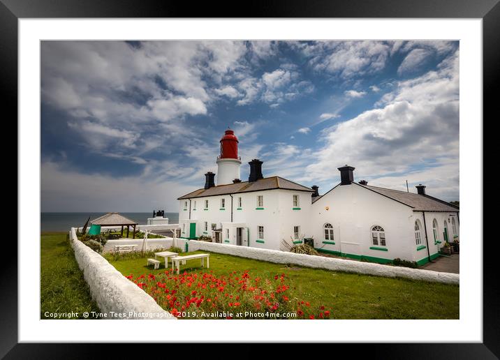 Poppies at Souter Lighthouse Framed Mounted Print by Tyne Tees Photography