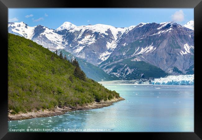 Glacier Bay in Alaska. Framed Print by RUBEN RAMOS