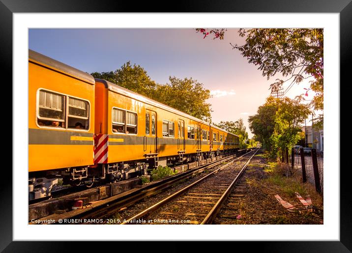 Electric train in Buenos Aires, Argentina. Framed Mounted Print by RUBEN RAMOS