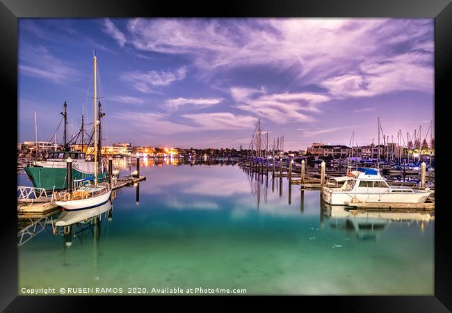Sailboats moored on a peaceful harbor in Australia Framed Print by RUBEN RAMOS