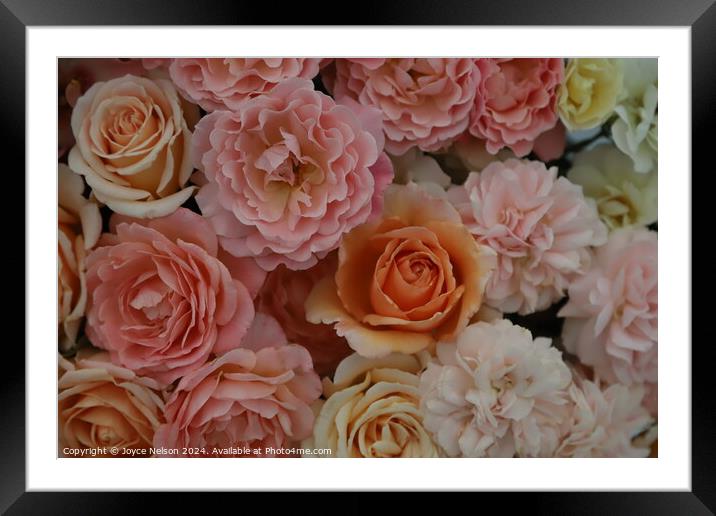 A bouquet of pink and orange roses Framed Mounted Print by Joyce Nelson