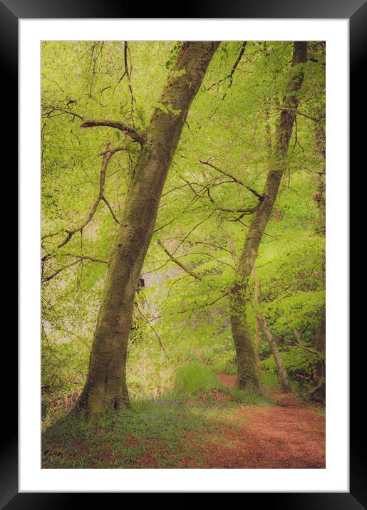 Springtime Framed Mounted Print by Ben Hatwell