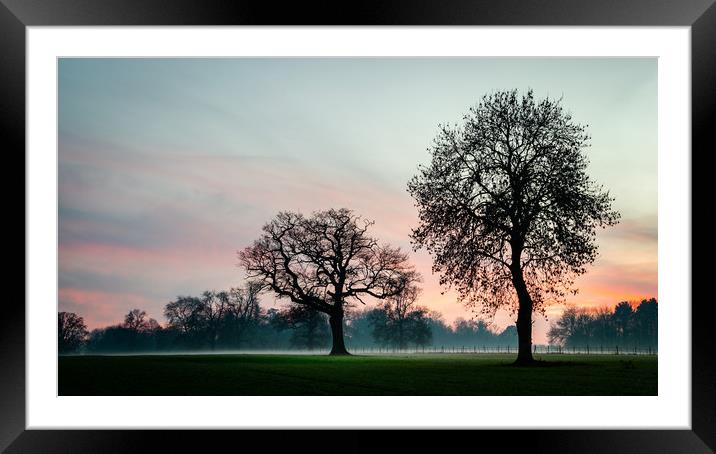 Trees Of Hope Framed Mounted Print by Ben Hatwell