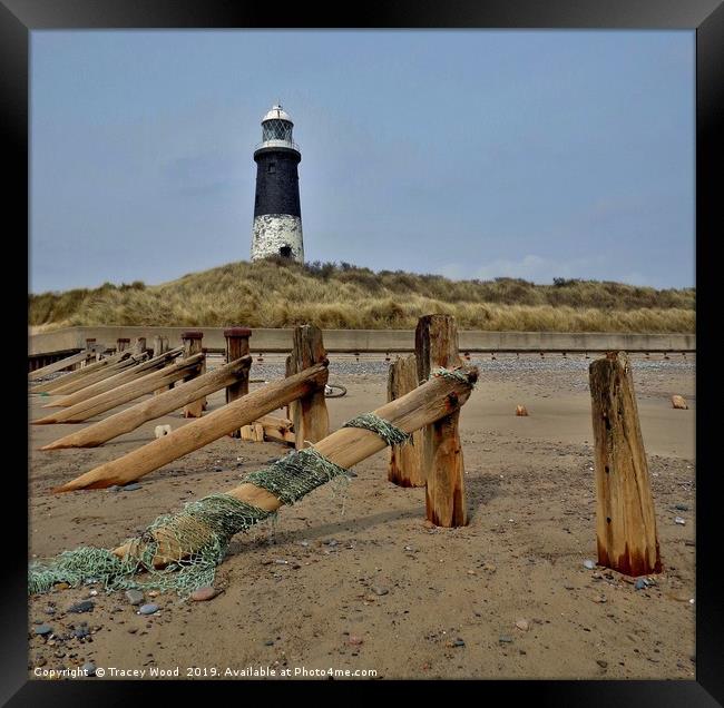 Spurn Point Lighthouse                             Framed Print by Tracey Wood