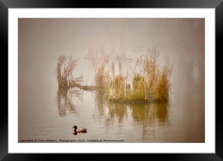 Misty Lake Framed Mounted Print by Tony Williams. Photography email tony-williams53@sky.com