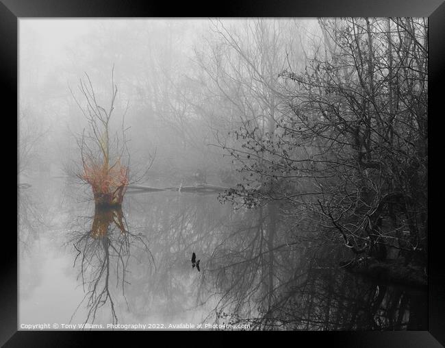 Misty morning by the lake Framed Print by Tony Williams. Photography email tony-williams53@sky.com