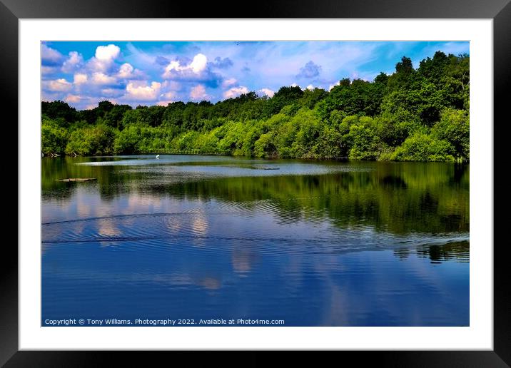 Fradley Junction Nature Reserve  Framed Mounted Print by Tony Williams. Photography email tony-williams53@sky.com