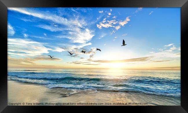 Turtle beach Framed Print by Tony Williams. Photography email tony-williams53@sky.com