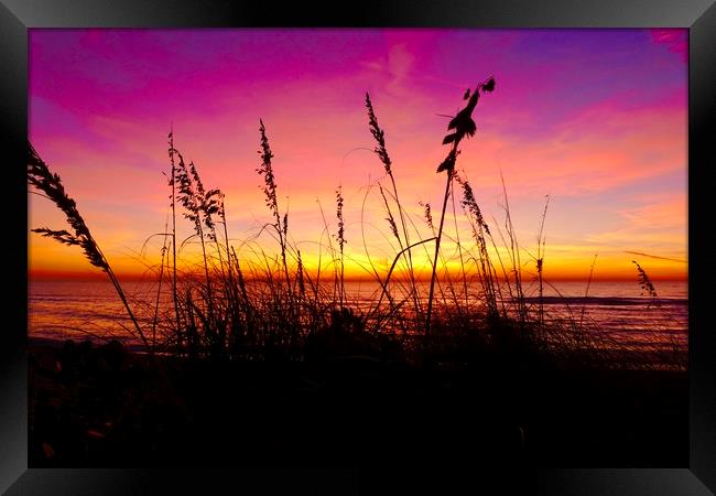 Sunsetting, Turtle Beach Framed Print by Tony Williams. Photography email tony-williams53@sky.com