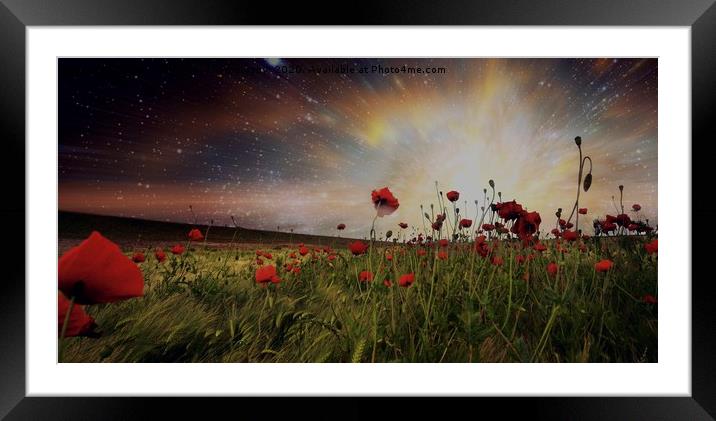 Poppy Fields Framed Mounted Print by Tony Williams. Photography email tony-williams53@sky.com