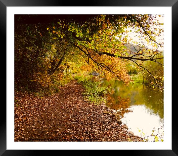 Autumn Walk. Framed Mounted Print by Tony Williams. Photography email tony-williams53@sky.com