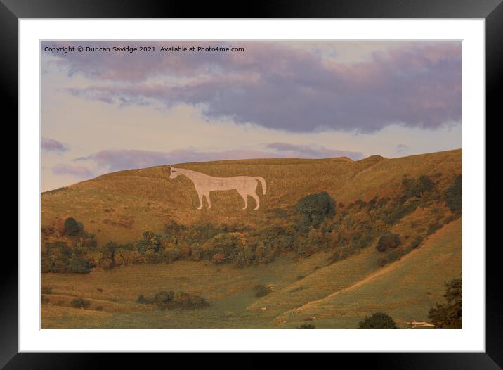 Golden light on the Westbury white horse Framed Mounted Print by Duncan Savidge