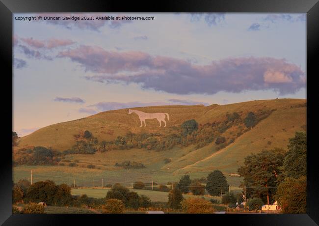 Golden light on the Westbury white horse Framed Print by Duncan Savidge
