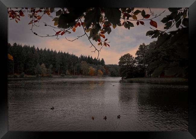 Autumn at Shear Water Framed Print by Duncan Savidge