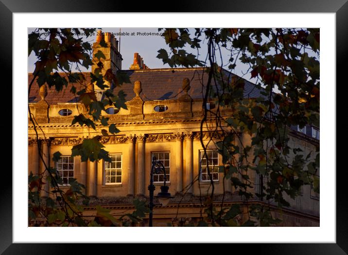 Autumn at The Circus Bath Framed Mounted Print by Duncan Savidge