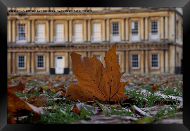 Autumn leaf at the Circus Bath Framed Print by Duncan Savidge