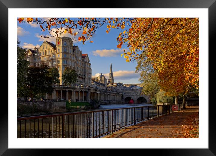 Golden Autumn in Bath by the river Framed Mounted Print by Duncan Savidge