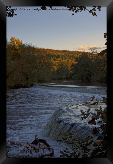 Autumn at Warleigh Weir golden hour Framed Print by Duncan Savidge