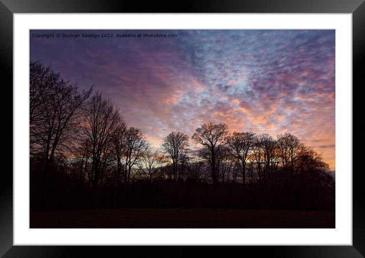 Sunset at Heaven's Gate Longleat trees silhouette  Framed Mounted Print by Duncan Savidge