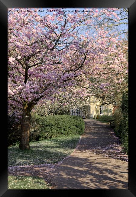 Spring in Botanical Gardens Bath Framed Print by Duncan Savidge