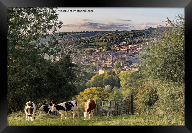 Rural Bath Framed Print by Duncan Savidge