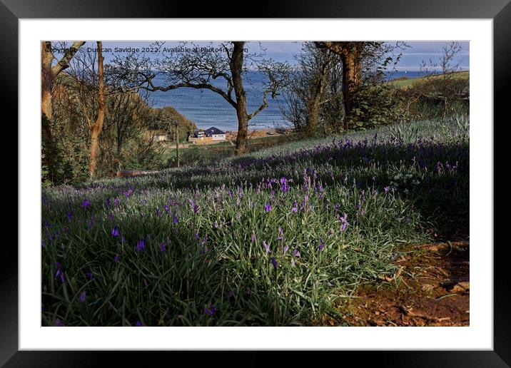 Bluebells to the Sea Framed Mounted Print by Duncan Savidge