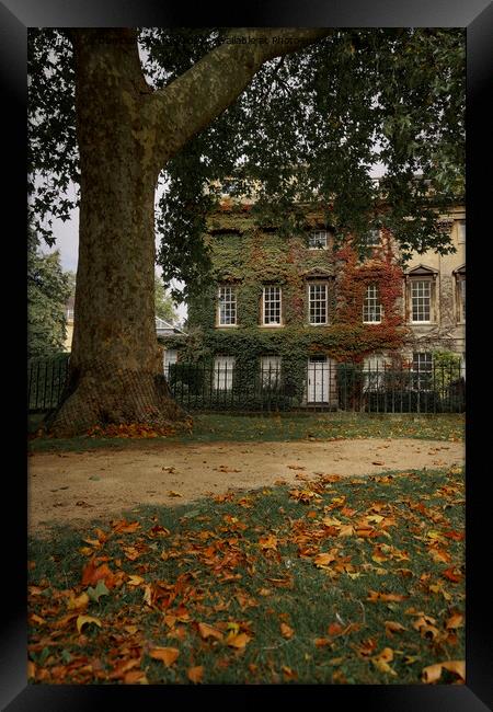 Autumn in Bath at Queens Square Framed Print by Duncan Savidge