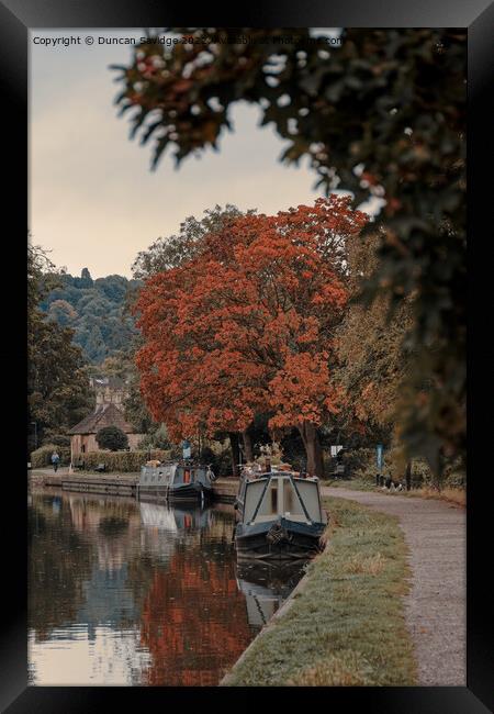 Kennet and Avon canal Autumn tree Framed Print by Duncan Savidge