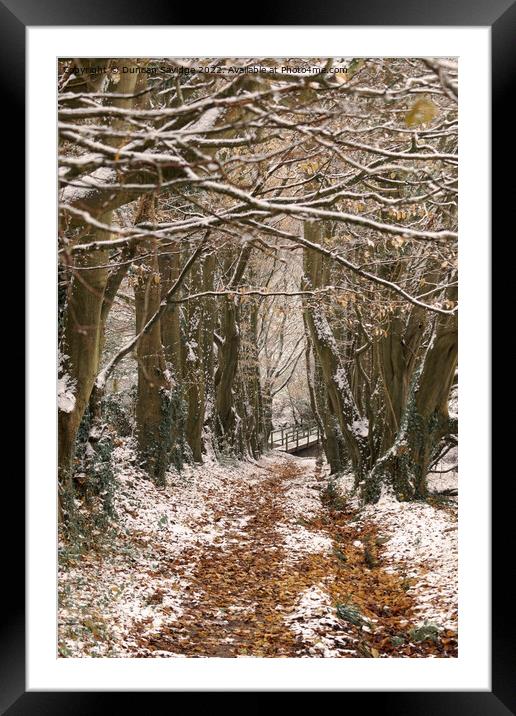 Haycombe Bath tree tunnel Framed Mounted Print by Duncan Savidge