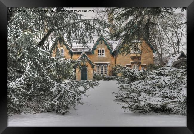 Royal Victoria Park’s fairytale cottage peeking through the evergreen snow Framed Print by Duncan Savidge